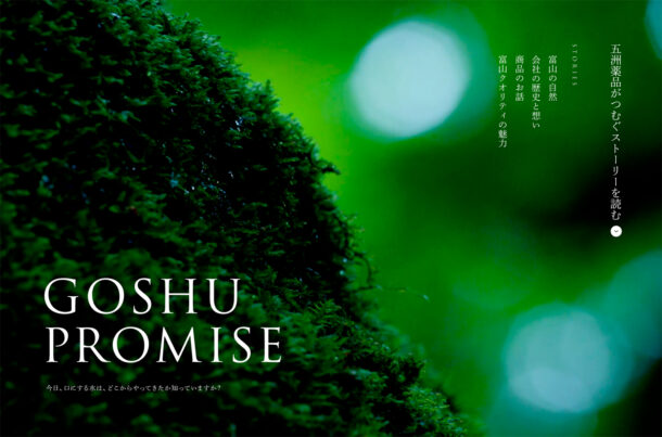 GOSHU PROMISE – 五洲薬品株式会社ウェブサイトの画面キャプチャ画像