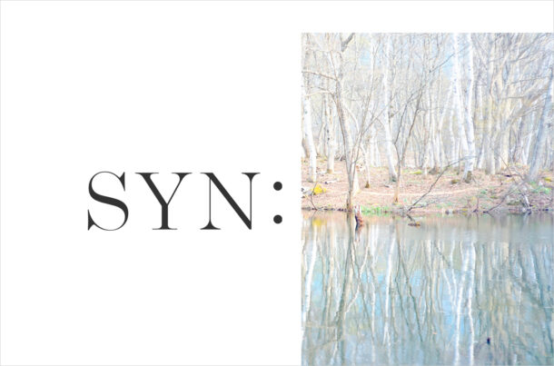 SYN: – Sympathy Lab in NAGANOウェブサイトの画面キャプチャ画像