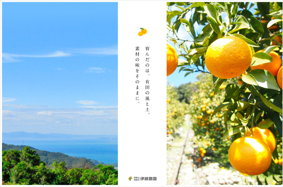 歌山県有田市から直送 業務用柑橘・果汁の仕入れなら伊藤農園ウェブサイトの画面キャプチャ画像