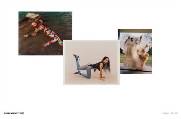 Gillian Wilkinsウェブサイトの画面キャプチャ画像