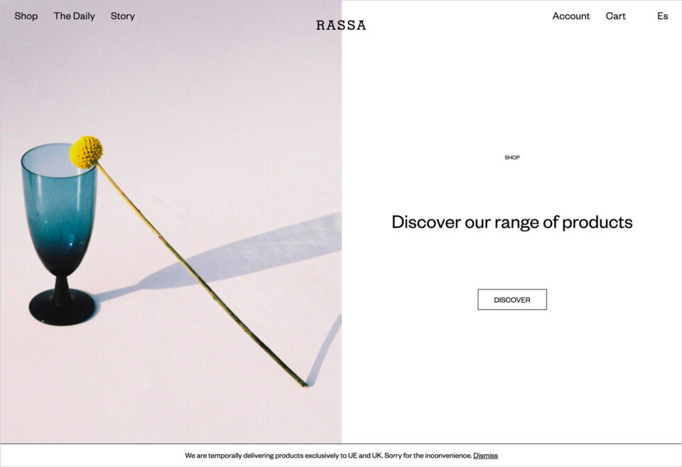 RASSAウェブサイトの画面キャプチャ画像