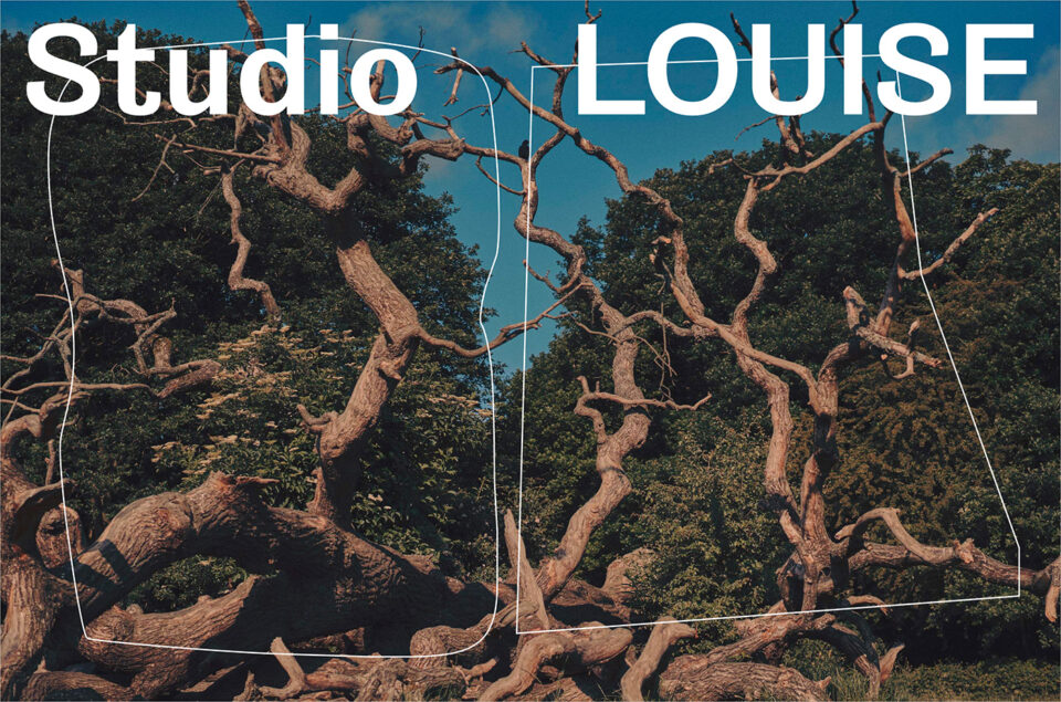 Studio LOUISEウェブサイトの画面キャプチャ画像
