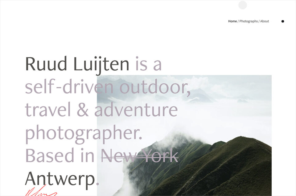 Ruud Luijtenウェブサイトの画面キャプチャ画像
