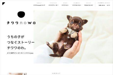 チワワの子犬なら、チワワブリーダー専門サイト チワワnowaウェブサイトの画面キャプチャ画像