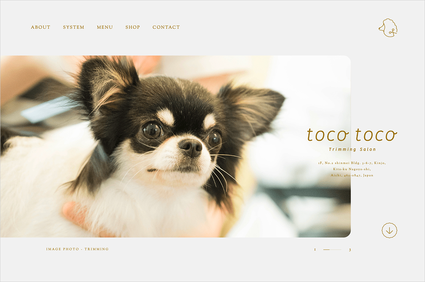 tocotoco｜名古屋市北区金城のトリミングサロンウェブサイトの画面キャプチャ画像