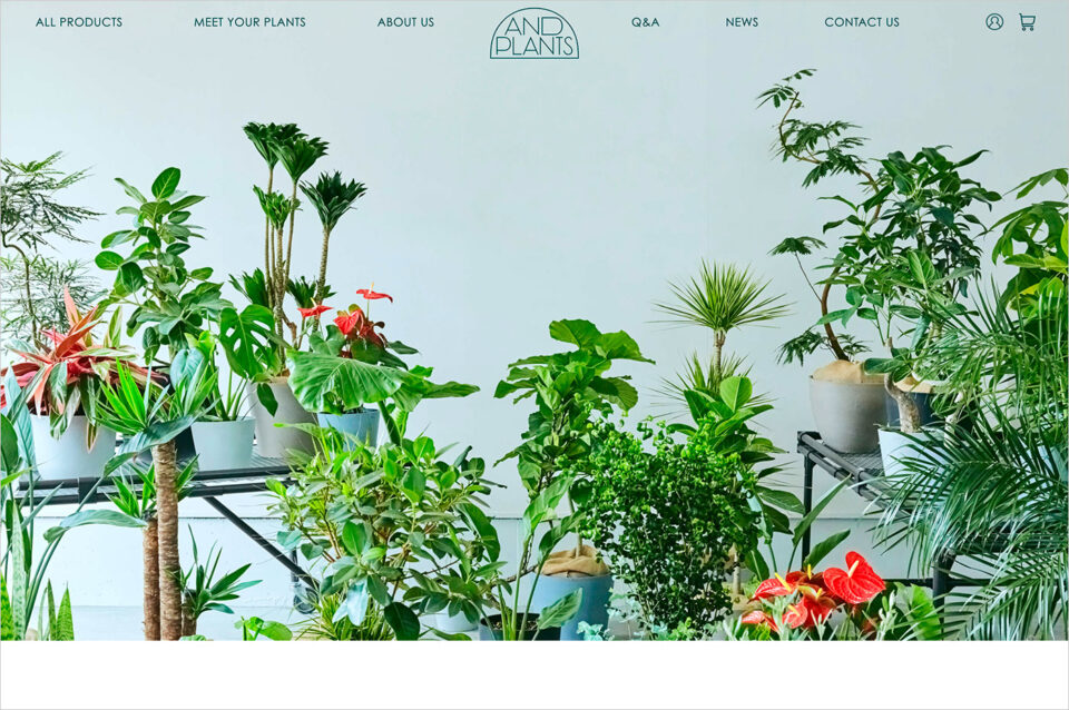 観葉植物・インテリアブランド「AND PLANTS」ウェブサイトの画面キャプチャ画像