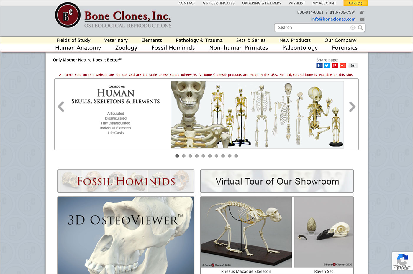 Bone Clones, Inc. – Osteological Reproductionsウェブサイトの画面キャプチャ画像