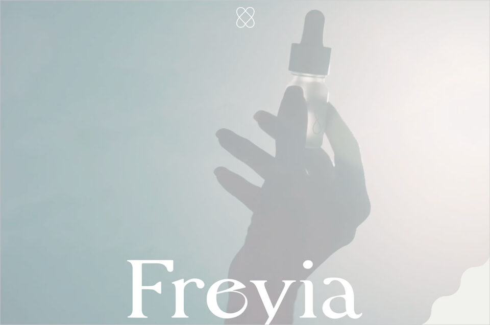 Freyiaウェブサイトの画面キャプチャ画像