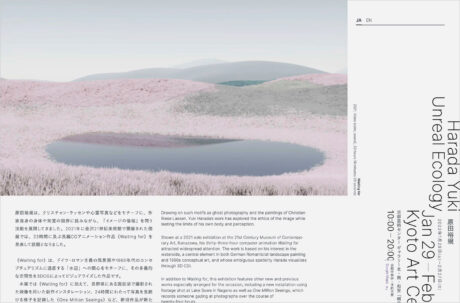 原田裕規「Unreal Ecology」京都芸術センターウェブサイトの画面キャプチャ画像