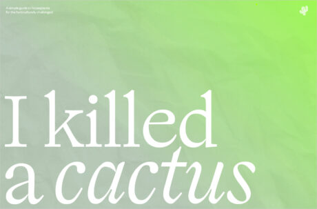 I Killed A Cactusウェブサイトの画面キャプチャ画像