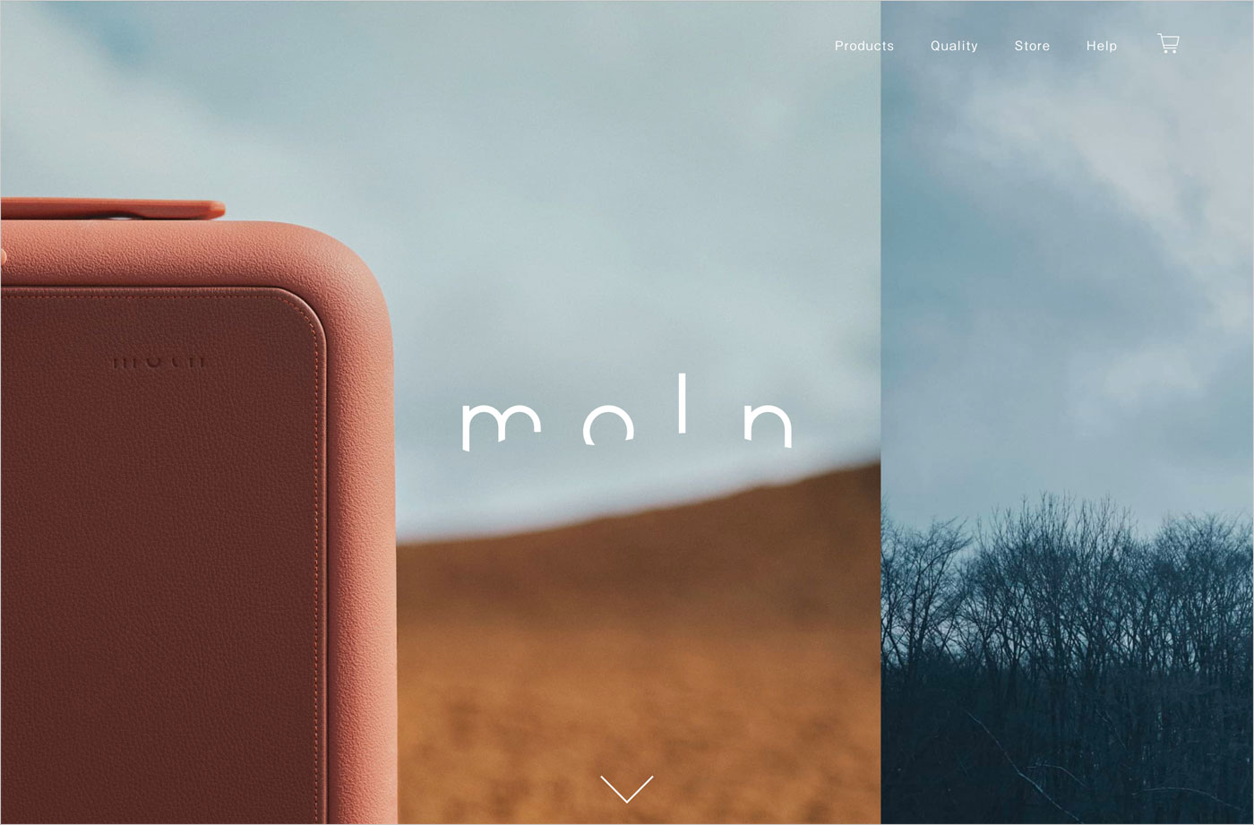 moln | 鞄のようなスーツケースウェブサイトの画面キャプチャ画像