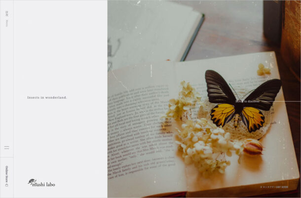 muhi labo – 昆虫標本レンタル・販売ウェブサイトの画面キャプチャ画像