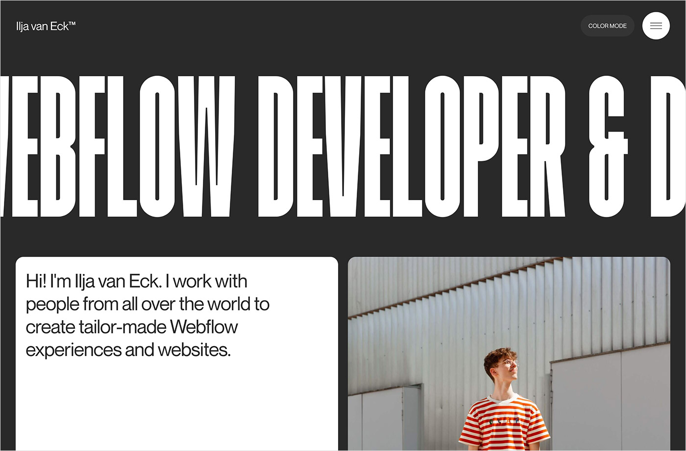 Ilja van Eck – Freelance designer and Webflow developerウェブサイトの画面キャプチャ画像