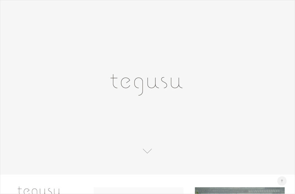 tegusuウェブサイトの画面キャプチャ画像