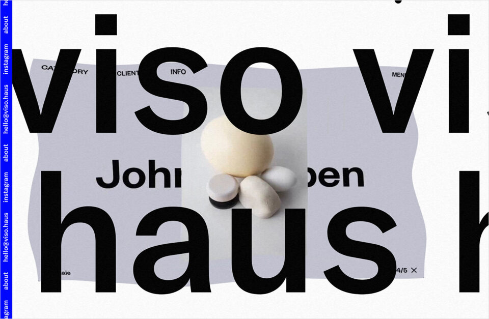 Viso Hausウェブサイトの画面キャプチャ画像