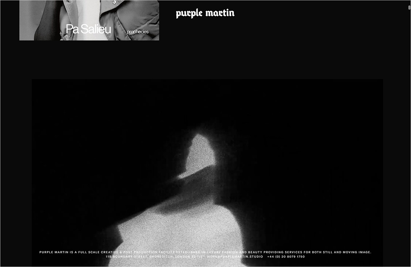 Purple Martinウェブサイトの画面キャプチャ画像