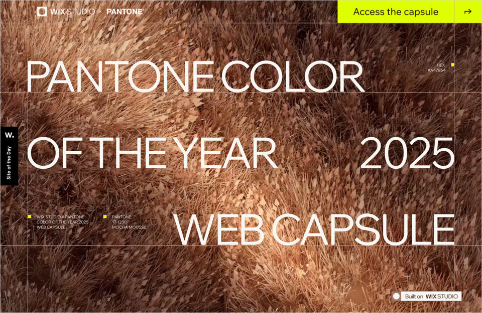 Wix Studio x Pantone Color of the Year 2025 Web Capsuleウェブサイトの画面キャプチャ画像