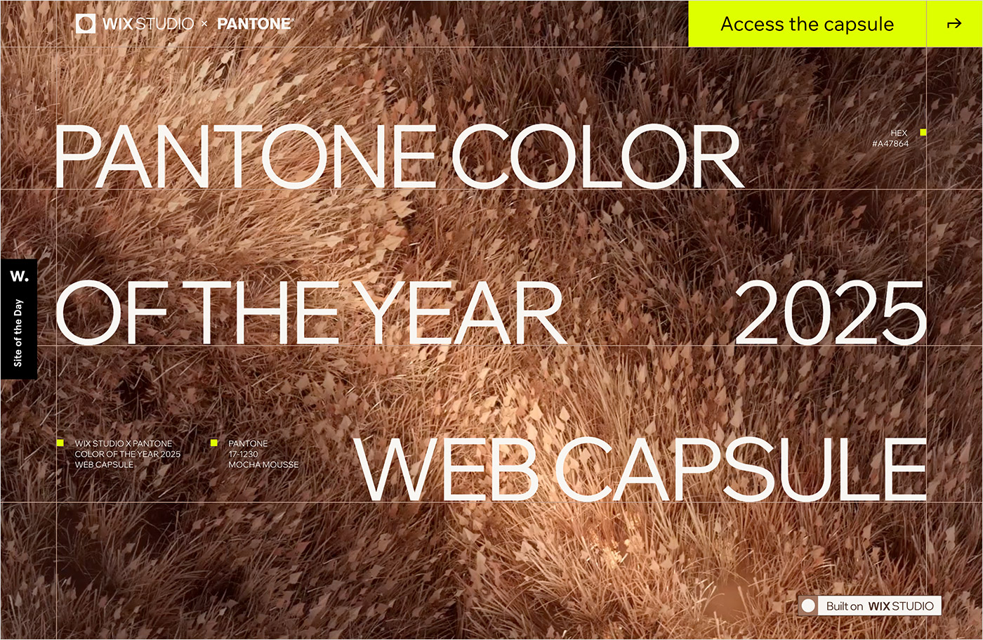 Wix Studio x Pantone Color of the Year 2025 Web Capsuleウェブサイトの画面キャプチャ画像