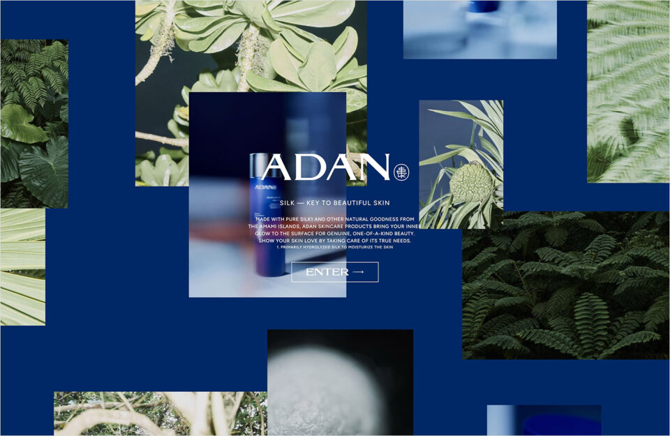 ADAN SILKウェブサイトの画面キャプチャ画像