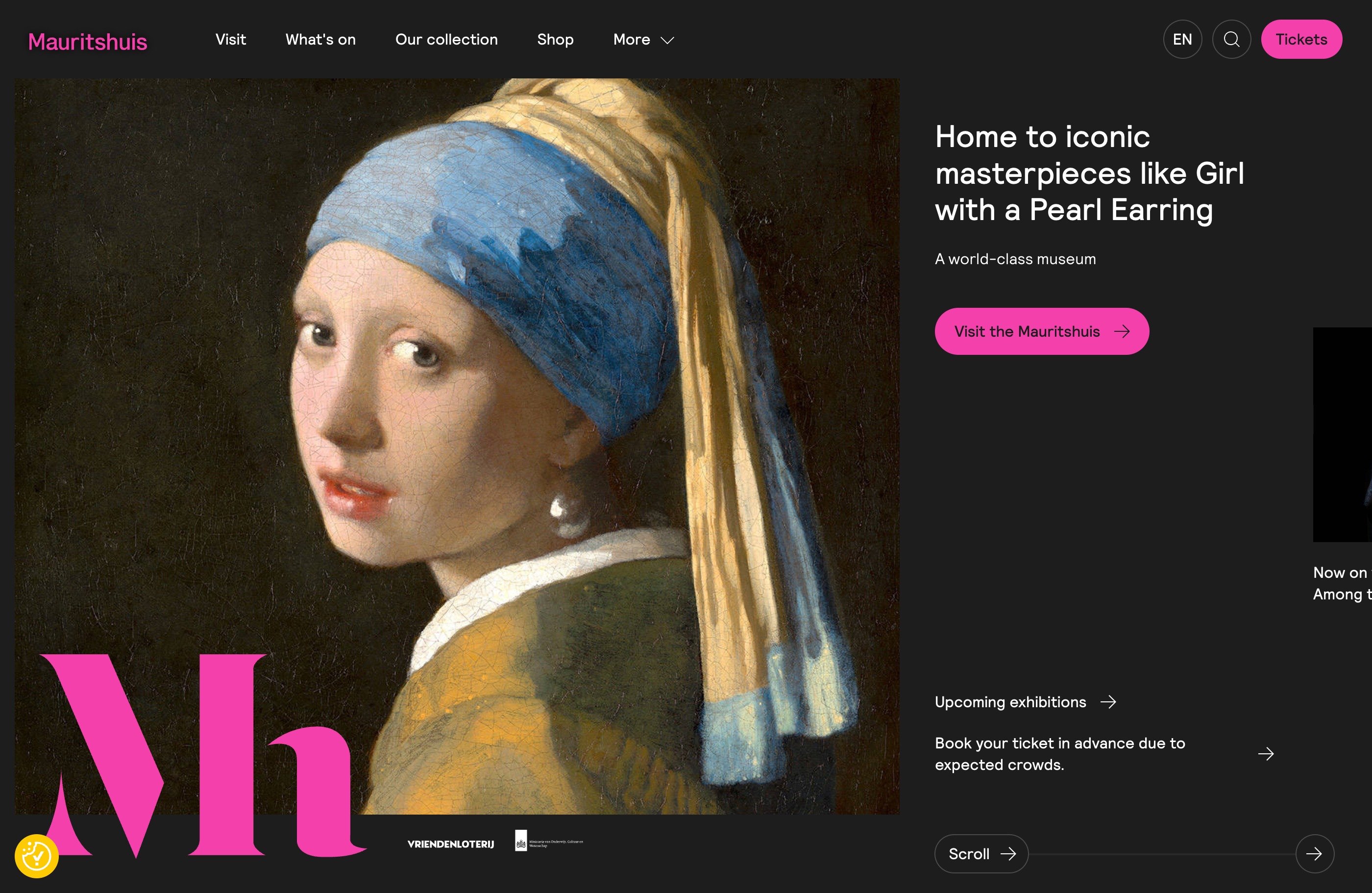 The Mauritshuis: The most beautiful museum in The Hague | Mauritshuisウェブサイトの画面キャプチャ画像
